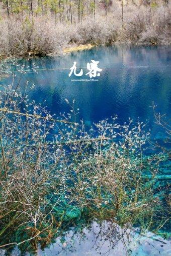 相扑选手大跳跃
